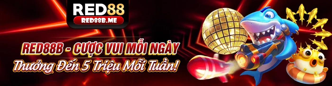 Hình ảnh nền tảng cá cược 566win bet với các ưu điểm nổi bật